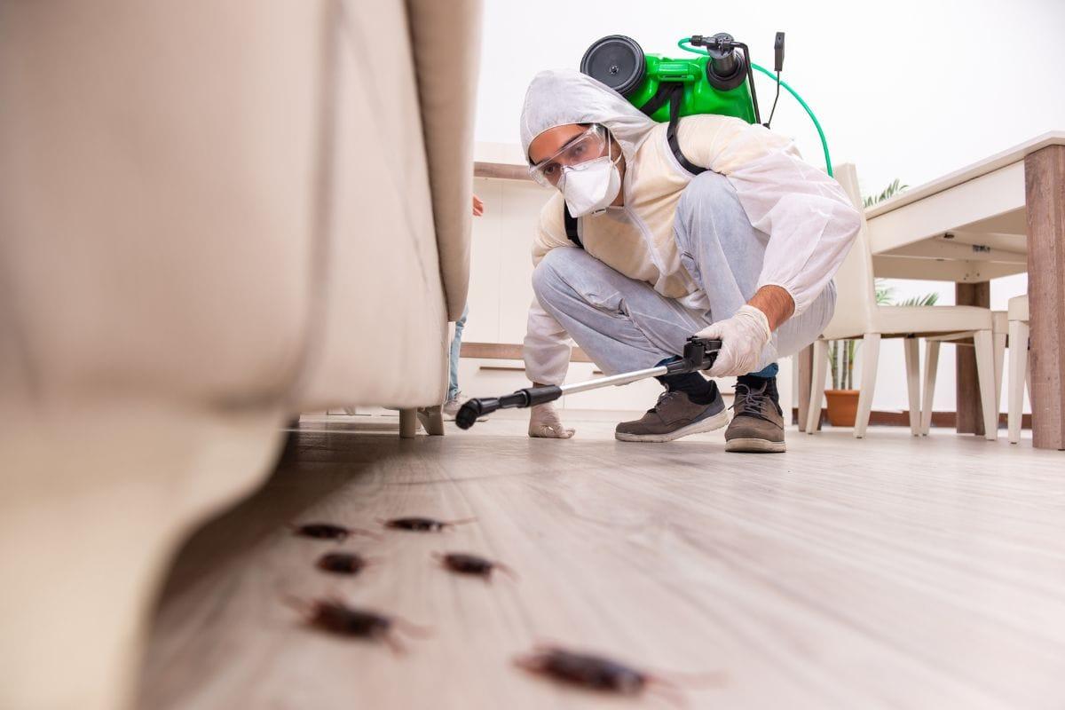General Pest Control